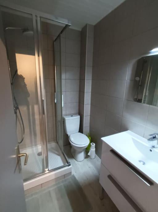 Appartement Duplex Avec Garage Annecy Centre Et Lac المظهر الخارجي الصورة